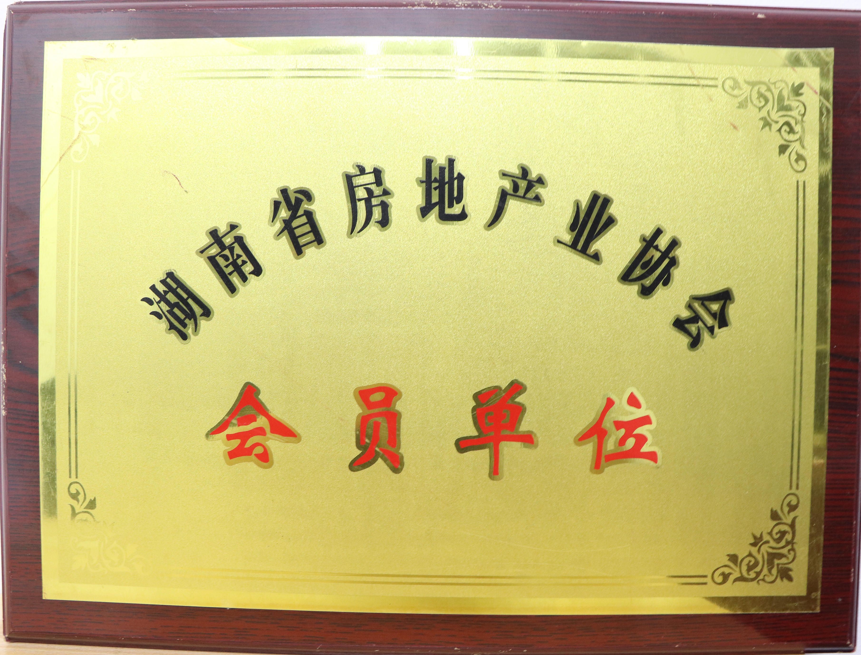 湖南房地產(chǎn)協(xié)會會員單位