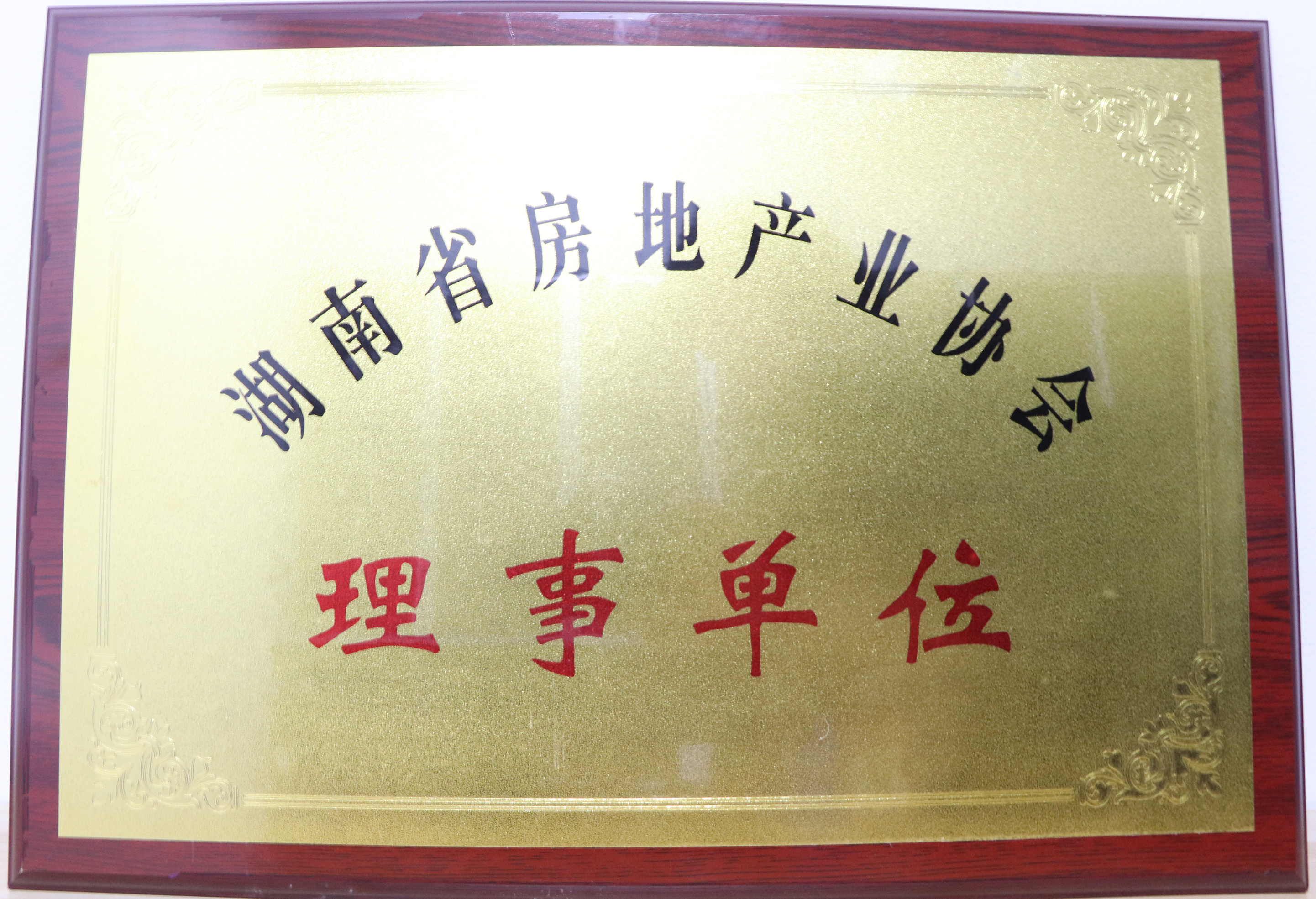 湖南省房地產(chǎn)業(yè)協(xié)會理事單位